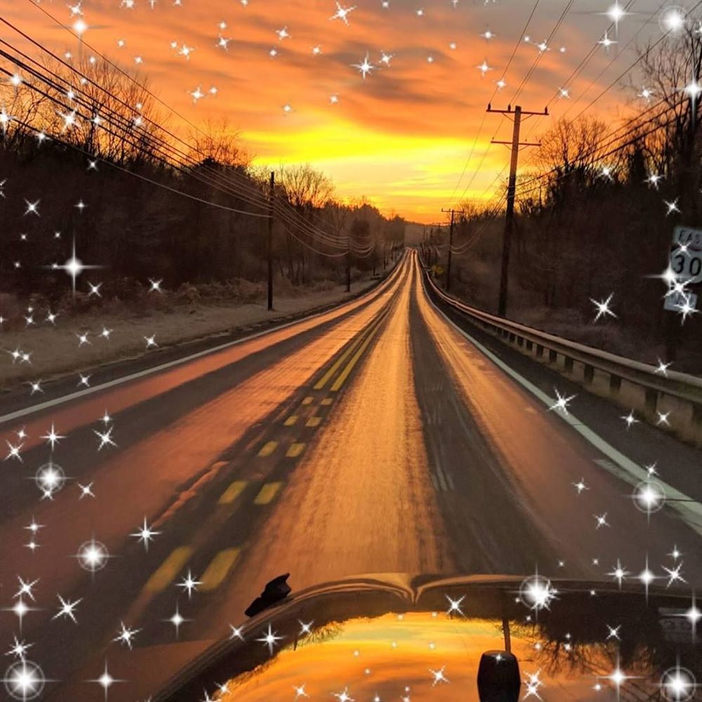 Meet your Posher, Sheila